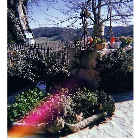 La Casina Di Ancicucco 1 Lägenhet San Gimignano Exteriör bild