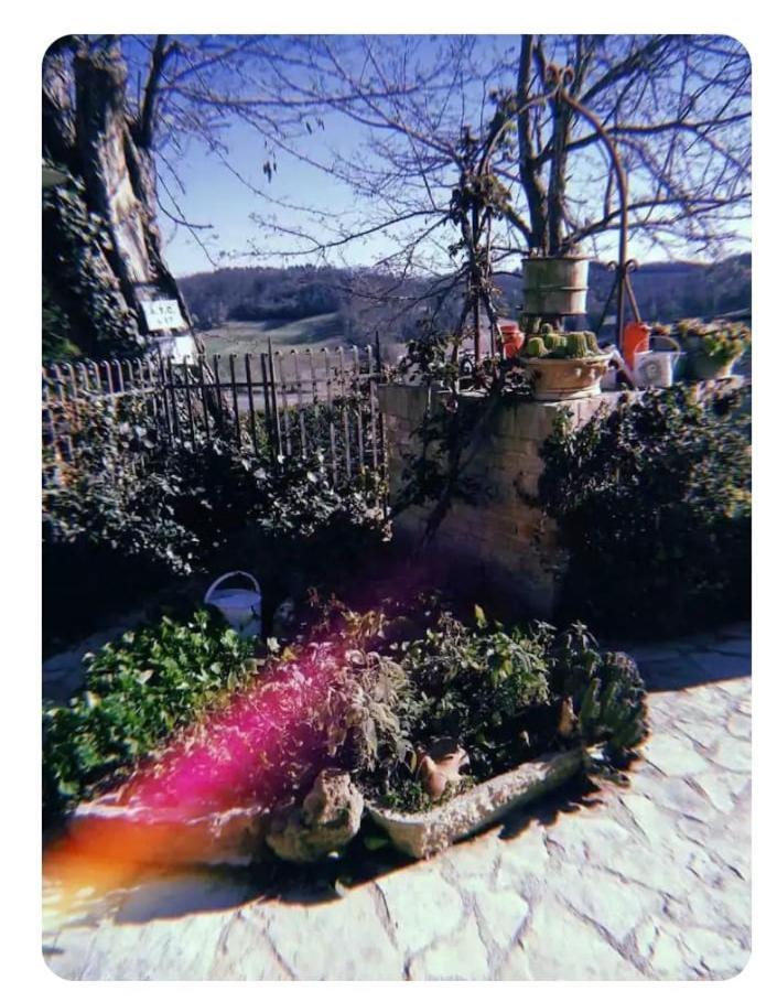 La Casina Di Ancicucco 1 Lägenhet San Gimignano Exteriör bild